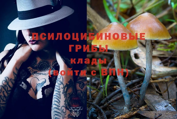 мет Снежногорск
