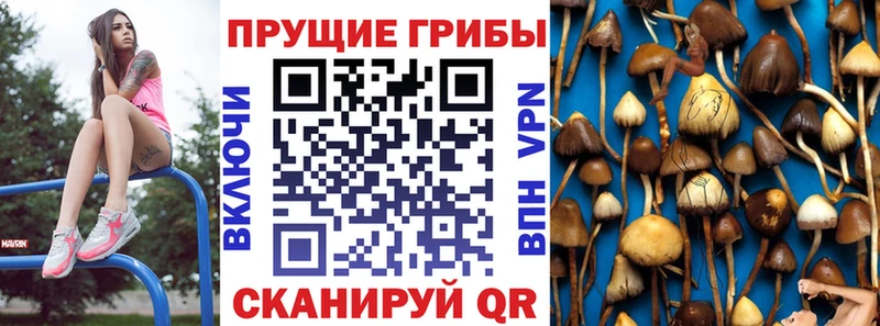 Галлюциногенные грибы прущие грибы Салаир
